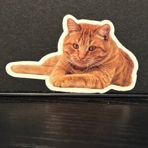 ORANGE CAT STICKER
